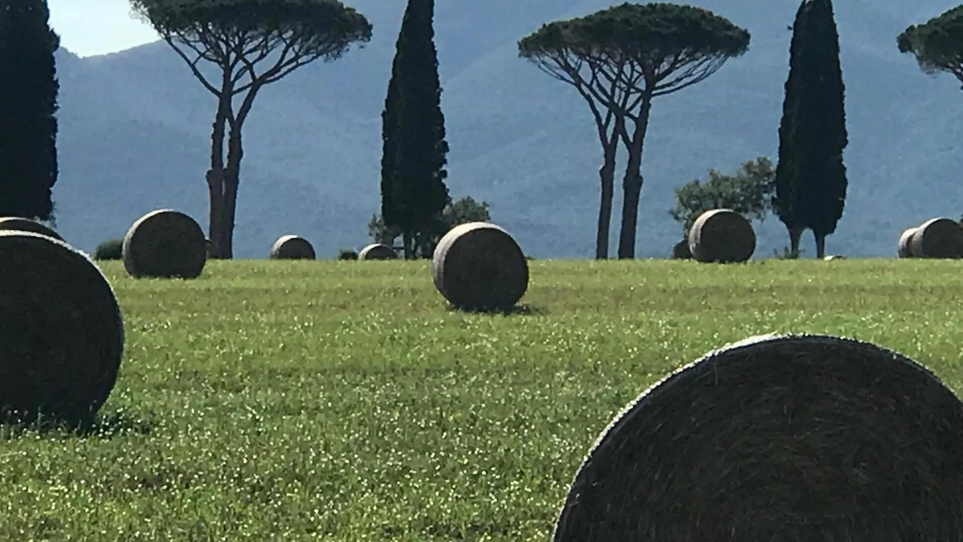 Tenuta Il Rifugio Buriano  Holiday home Buriano (Grosseto)