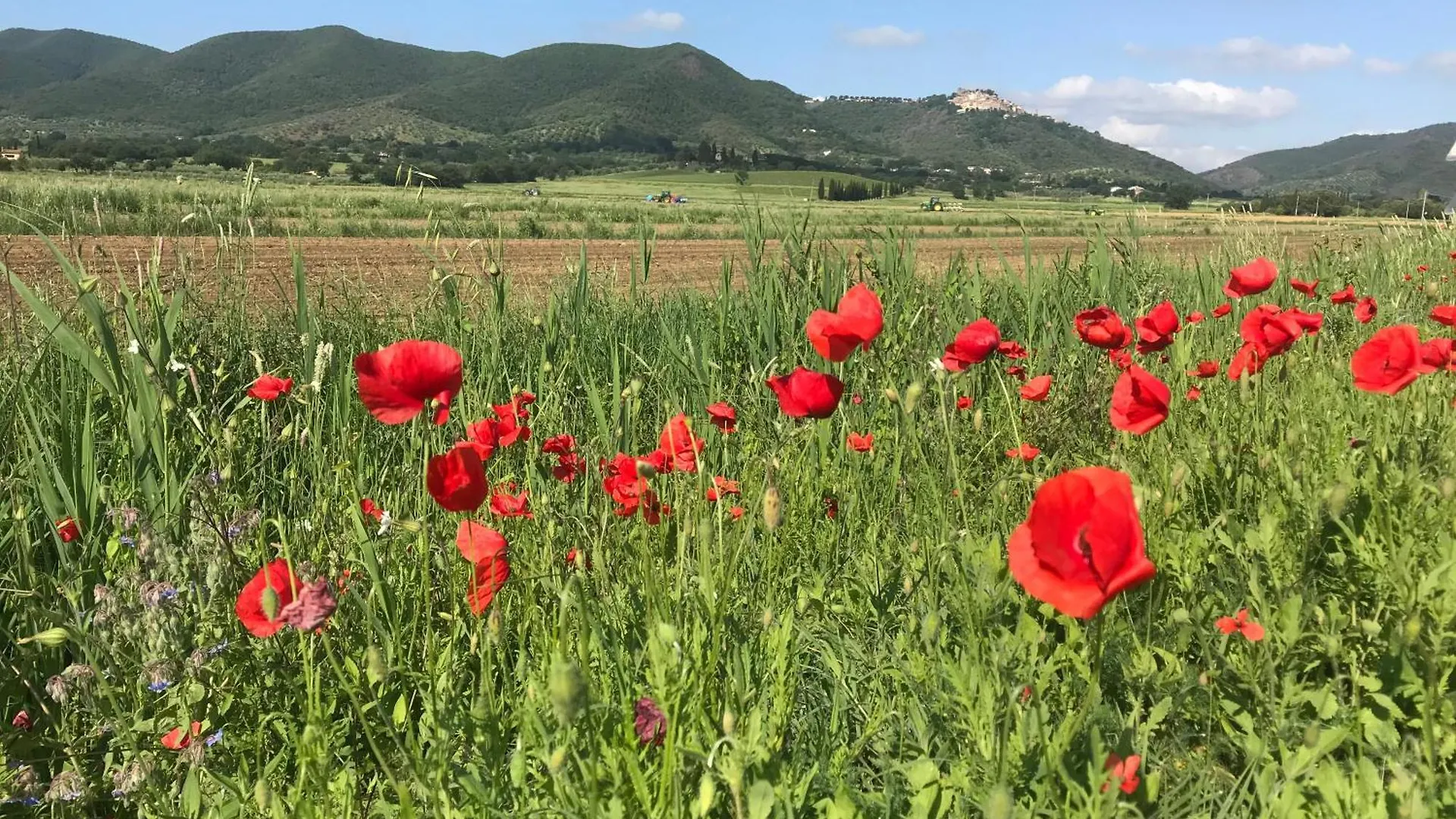 Holiday home Tenuta Il Rifugio Buriano  Italy